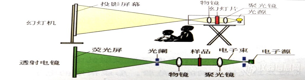 扫描电镜放大倍数和分辨率背后的陷阱——安徽大学林中清32载经
